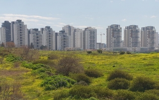 פרויקט באר יעקב סיאצ'י נדל"ן